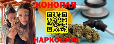 сатива Бузулук