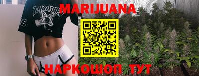 сатива Бузулук