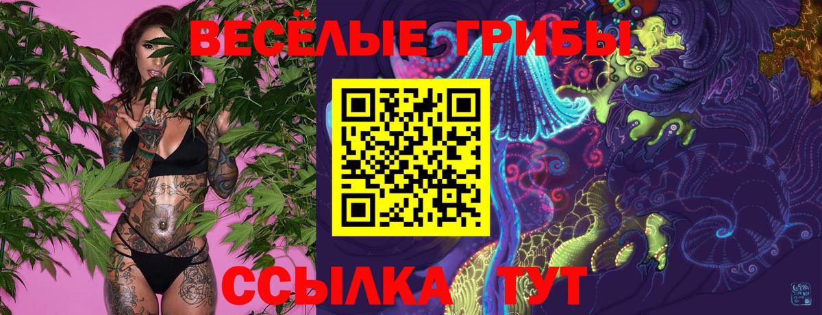 купить закладку  Галлюциногенные грибы мухоморы  Галлюциногенные грибы мицелий  Вход с VPN  Тутаев 